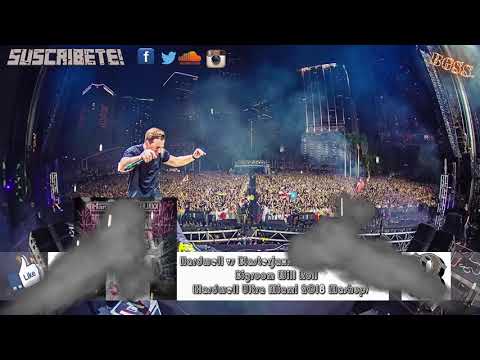 Hardwell vs Blasterjaxx vs Yeah Yeah Yeah - Bigroom Will Roll (Hardwell Ultra Miami 2018 Mashup)