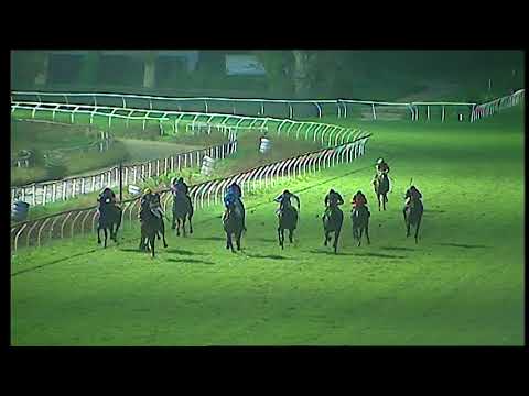 Napoli Galoppo 22/11/2021 - 6ª corsa