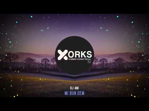 DJ ANI x Badchargie   Mi Bun Dem