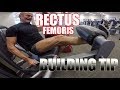How to Build Your Rectus Femoris Muscle!
