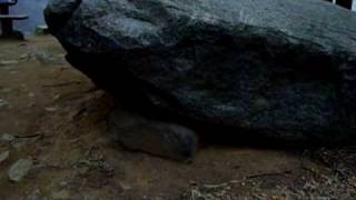 preview picture of video 'Korea's Stonehenge   Dolmen  고인돌 ( GoInDol ) in KOREA'