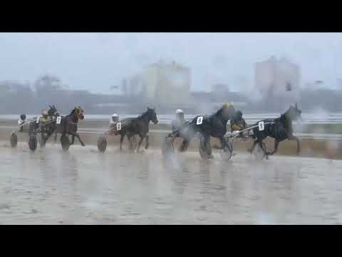 2018.02.03. 3. futam - KAZEIN DÍJ