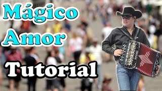 Mágico Amor Intocable Acordeon tutorial.