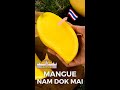 Mangue Nam Dok Maï video