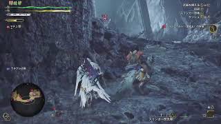 [MHWS]歴戦王アルシュベルド　リベンジ