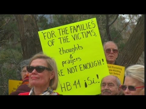Gun control groups rally at Roundhouse