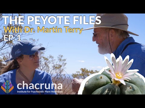The Peyote Files (episode 1)