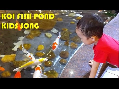 KOI FISH POND | KIDS SONG - Old MacDonald, It'sy Bitsy Spider, London Bridge - HT BabyTV Video