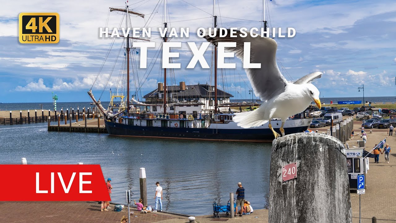 Live webcam view of Puerto Pesquero de Oudeschild en Texel