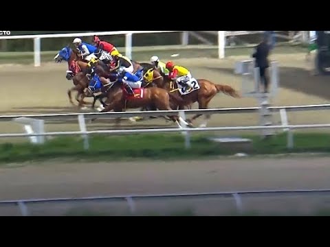 Javier Flores con su información para este Domingo en La Rinconada.