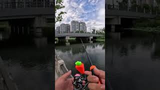 Download lagu Set umpan mini Cadence memungkinkan Anda memancing di mana pun Anda berada. mp3 Download lagu Set umpan mini Cadence memungkinkan Anda memancing di mana pun Anda berada. mp3