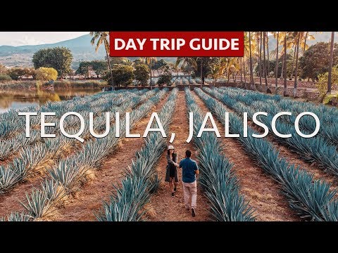 TEQUILA, JALISCO | Day Trip Guide | Tequila Tours | La Alborada | Fortaleza