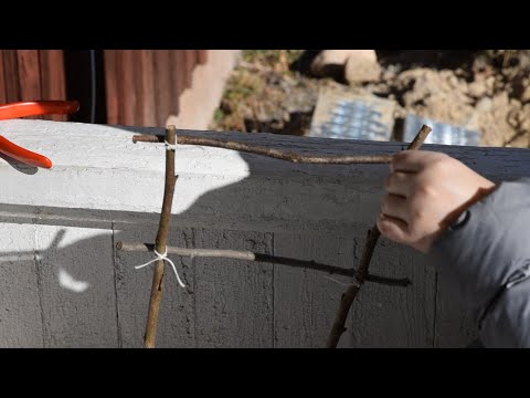 Bygga en spaljé till krukväxter