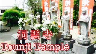 preview picture of video 'Many stone statues are standing in the temple-grounds.Tounji buddhist temple(洞雲寺) part2'