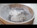 Epic Chinchilla Dust Bath in 4k Ultra High Definition!