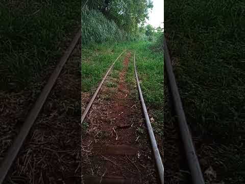 Ponte ferroviária em Jataizinho Pr #londrinaeregiao #paraná #reliquiashistoricas