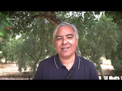 Arrábida. Reserva da Biosfera da Unesco. Francisco Jesus (Câmara Municipal de Sesimbra)