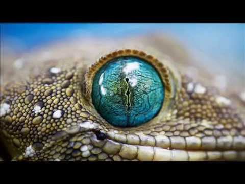 Juli Holz - Angst (Oliver Koletzki remix) Minimal House