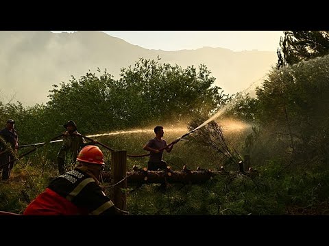 Video Thumbnail: Wildfire burns more than 5,500 hectares in Argentina’s Patagonia