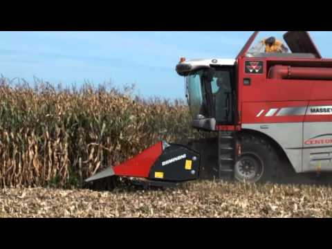 DOMINONI M.F. CENTORA A 2010