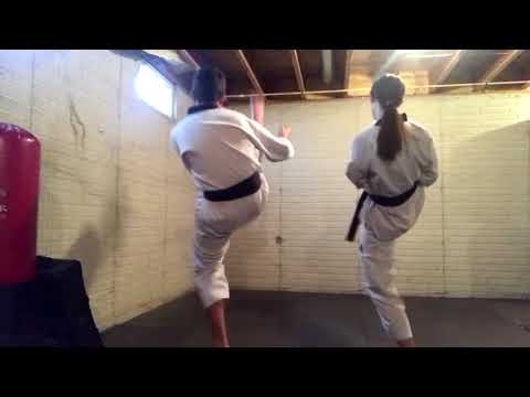 How to do a Front Snap Kick