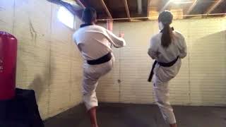 How to do a Front Snap Kick