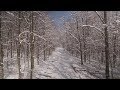 Winter Wonderland Mood Video