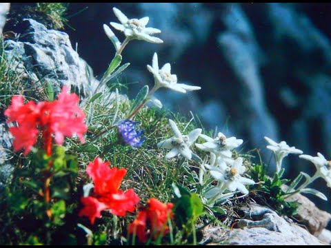 Mein Neustart in Pößneck  -  3.Teil