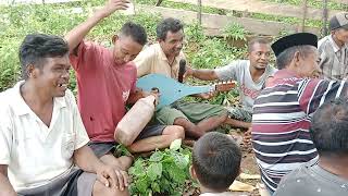 Download lagu semoga dapat menghibur penonton (gambus muna) mp3