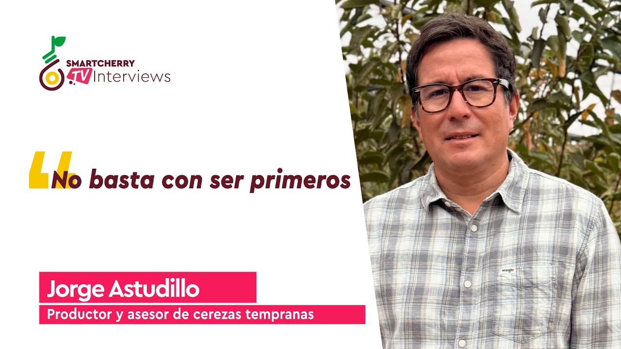 Cereza de Ovalle se adelanta hasta 10 días y proyecta cosechas desde primera quincena de octubre