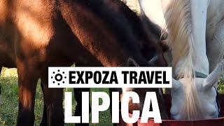 Lipica (Slovenia) Vacation Travel Video Guide