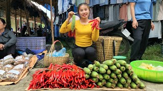 Download lagu Harvest the garden of melons and peppers and bring them to the market to sell as a bean rig mp3