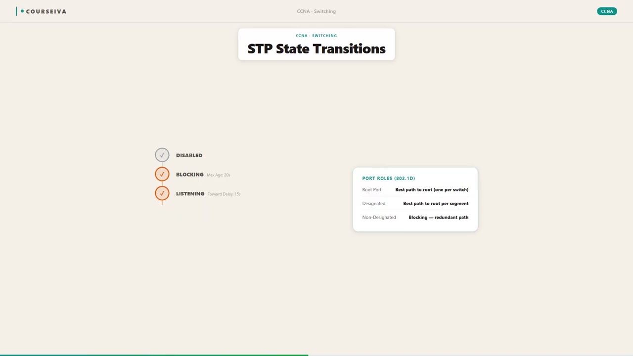 STP Port States — video thumbnail