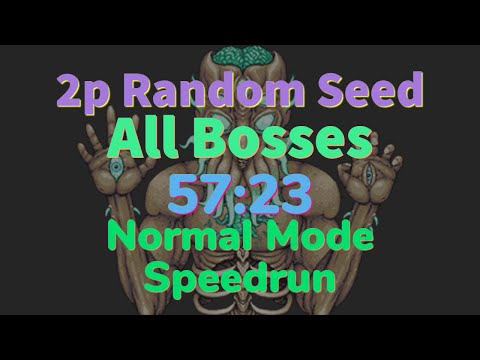 Speedrun Duo: All Bosses 1.3 Unseeded 57:23 Normal mode WR