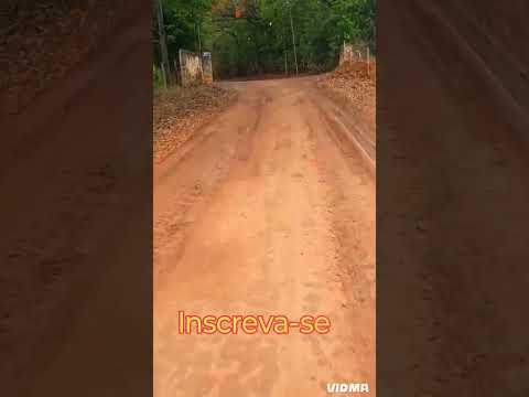 Mogi Mirim SP