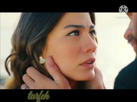 حالات واتس اب حب.. لو قالولك.. هاني شاكر