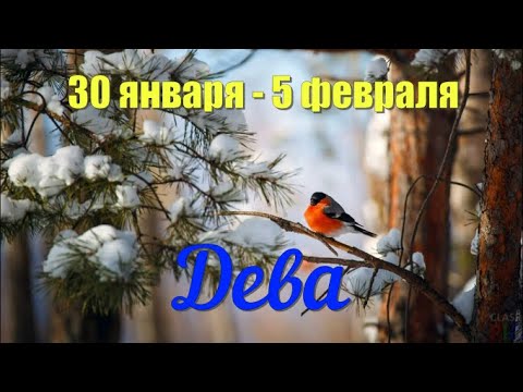 30 января - 5 февраля.ДЕВА♍️