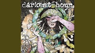 A Paradox With Flies - the Light