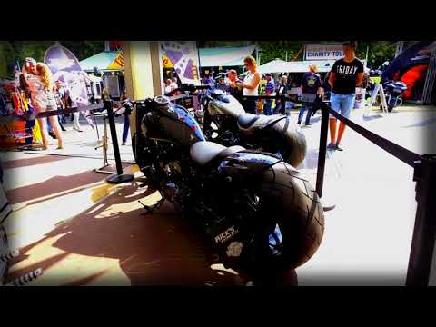 Rick's Motorcycles Harley-Davidson Softail Slim 360 Custom