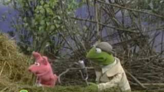 Sesame Street: The Three Little Pigs | Kermit News