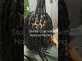 Starter Locs With Natural Parting Locjourney Locs Starterlocs Coillocs Dmvlocs