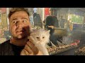 Pakistani Street Food Will Destroy Your Toilet Bowl