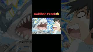 Download lagu Poor Nagasumi 😭/My Bride is a Mermaid mp3
