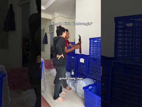 Pake cara unik buat nyebrang, tapi malah jadi prank seru! 😂 Selamat ngakak, guys!