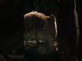 Hachi A Dog Tale Status Scene Hachiko