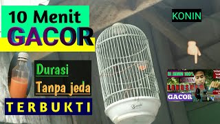Download lagu PEMBUKTIAN NEKTAR KONIN !! racikan sendiri, cara buwat konin gacor mp3 Download lagu PEMBUKTIAN NEKTAR KONIN !! racikan sendiri, cara buwat konin gacor mp3