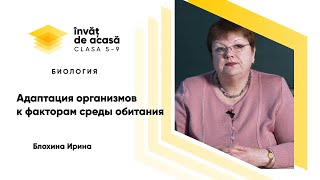 "Адаптация организмов к факторам среды обитания"