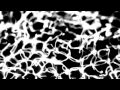 Byetone - Opal / Live Visual Performance by Neonderthal