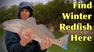 How to Catch Redfish on Cut Mullet