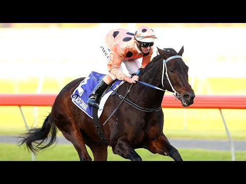 Black Caviar’s Last Race | 2013 T.J. Smith Stakes | 25 for 25 Undefeated